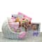 Welcome Baby Bassinet New Baby Girl Basket